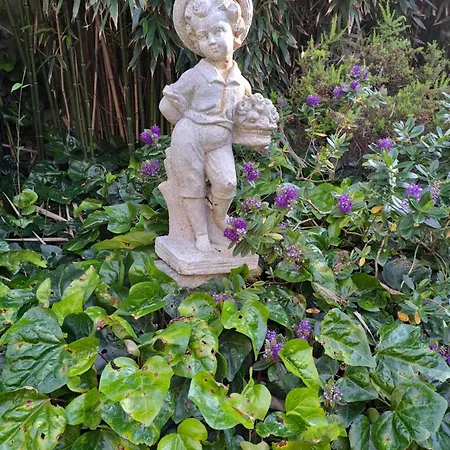 فندق مبيت وإفطار Les Hortensias Plouvien